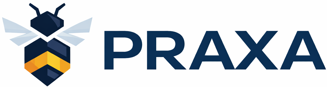 Praxa Servicios